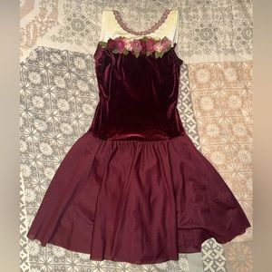 Leo’s Dance wear Girls Velvet Ballet Costume